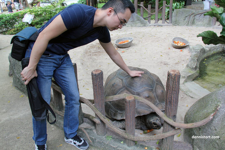 tortoises in faunaland jakarta