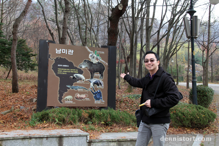Tortoises in Seoul Zoo, Korea