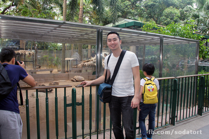 Tortoises in Hong Kong Botanical Gardens