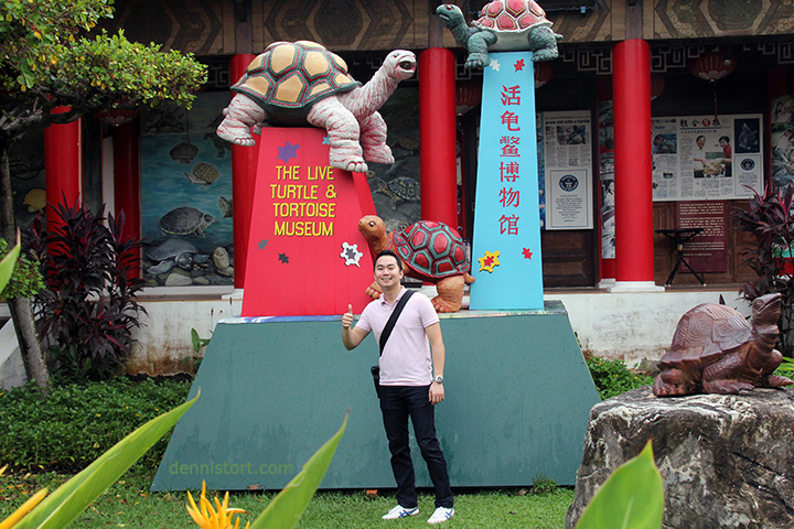 Live Turtle and Tortoise Museum in Singapore