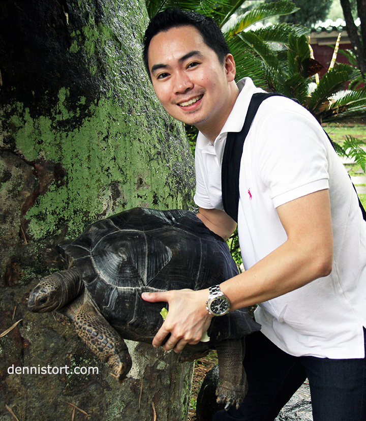 The Live Turtle and Tortoise Muzeum