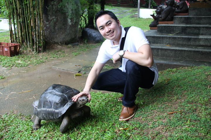 Live Turtle and Tortoise Museum in Singapore
