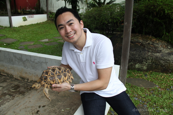 Live Turtle and Tortoise Museum in Singapore