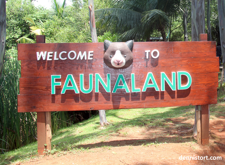tortoises in faunaland jakarta